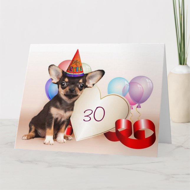Birthday Chihuahua hund Kort (Framsida)
