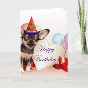 Birthday Chihuahua hund Kort