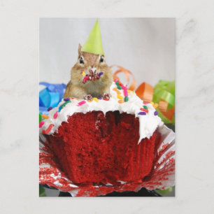 Birthday Chipmunk Vykort