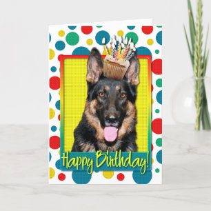 Birthday Cupcoa - German Shepherd - Kuno Kort