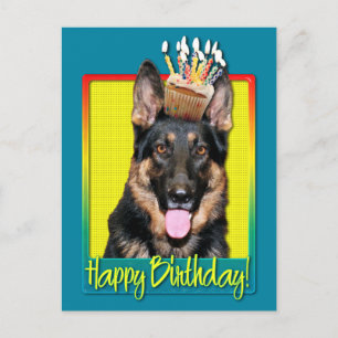 Birthday Cupcoa - German Shepherd - Kuno Vykort