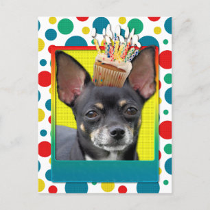 Birthday Cupkaka - Chihuahua - Isabella Vykort