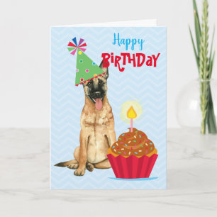 Birthday Cupkaka Malinois Kort