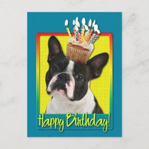 Birthday Cuptårta - Boston Terrier Vykort