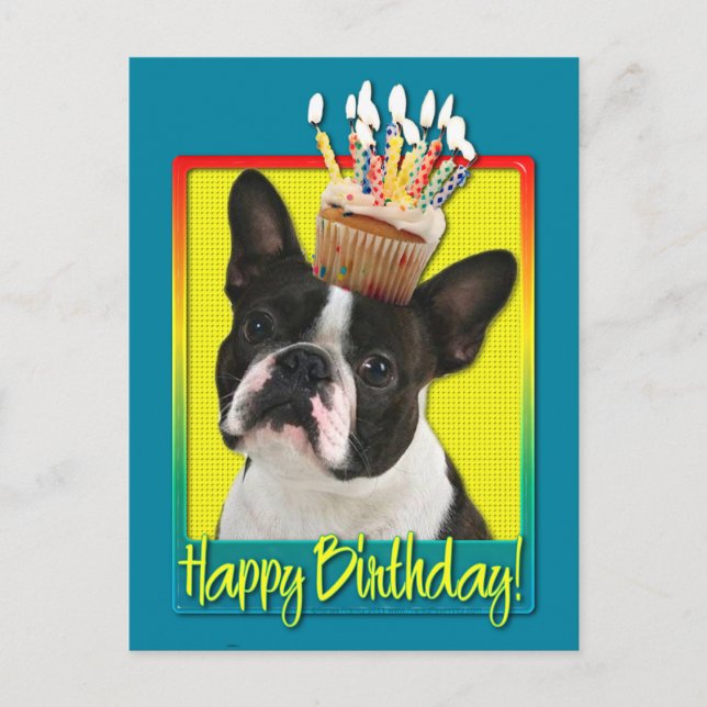 Birthday Cuptårta - Boston Terrier Vykort (Framsida)