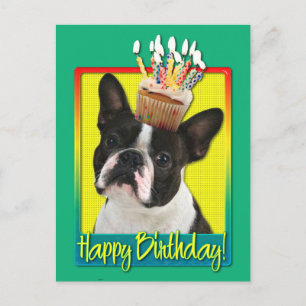 Birthday Cuptårta - Boston Terrier Vykort