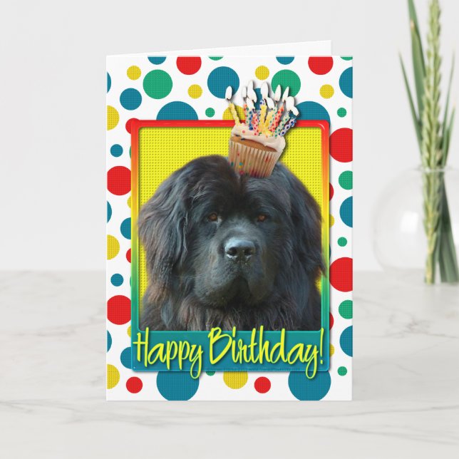 Birthday Cuptårta - Newfoundland Kort (Framsida)