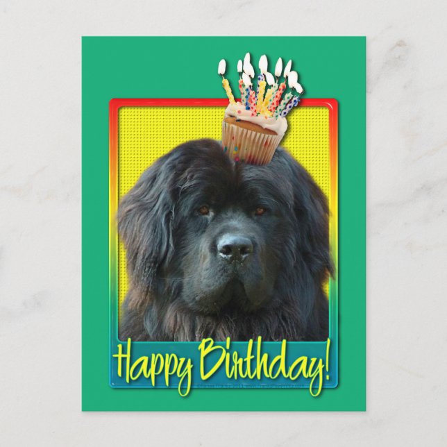 Birthday Cuptårta - Newfoundland Vykort (Framsida)