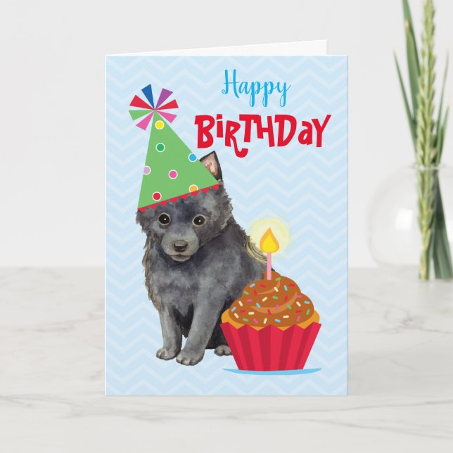 Birthday Cuptårta Schipperke Kort (Framsida)