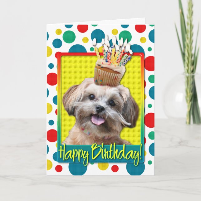 Birthday Cuptårta - Shih Poo - Maggie Kort (Framsida)