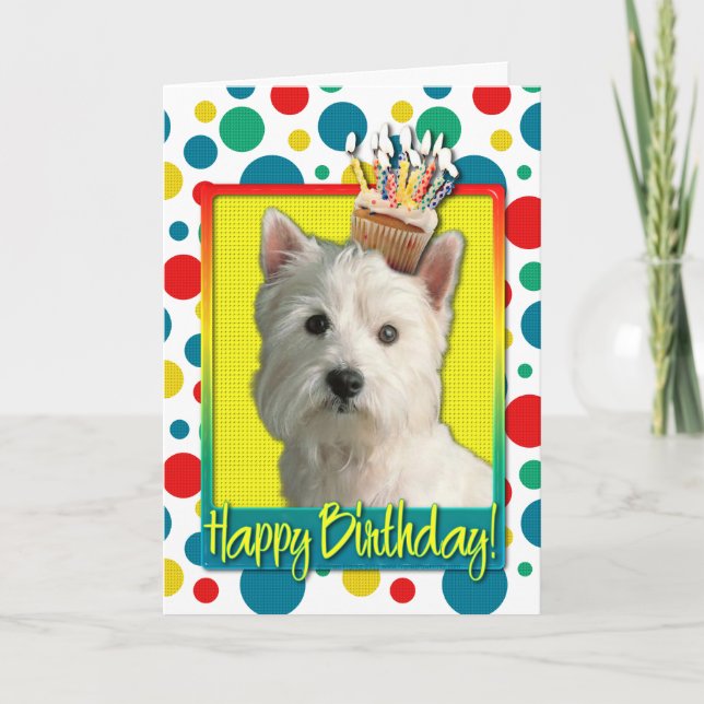 Birthday Cuptårta - Väster Highland Terrier Kort (Framsida)
