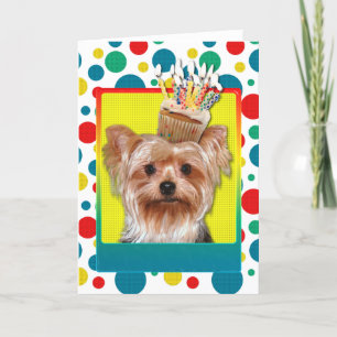 Birthday Cuptårta - Yorkshire Terrier Kort