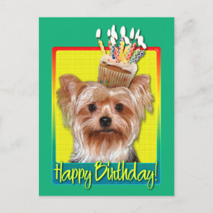 Birthday Cuptårta - Yorkshire Terrier Vykort