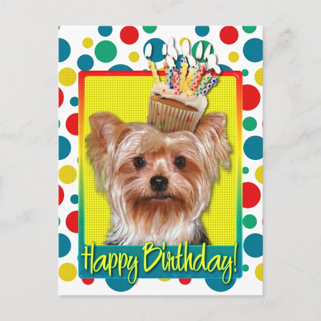 Birthday Cuptårta - Yorkshire Terrier Vykort (Framsida)