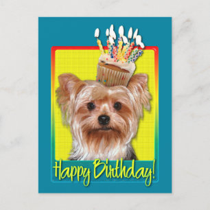 Birthday Cuptårta - Yorkshire Terrier Vykort