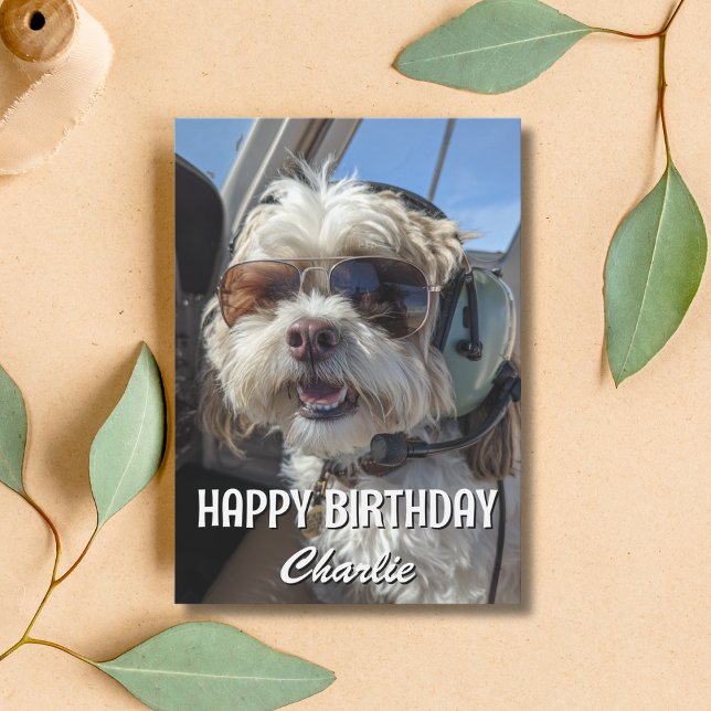 Birthday Dog Pilot Aviator Sunglasses Plane Funny Kort (Skapare uppladdad)