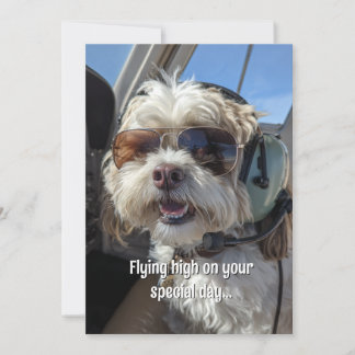 Birthday Dog Pilot Aviator Sunglasses Plane Funny Kort
