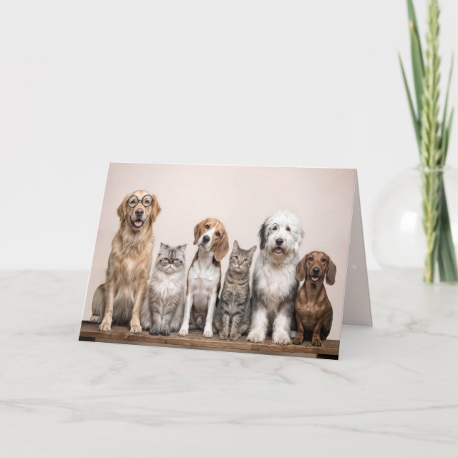 Birthday Dogs and Cats  Kort (Framsida)