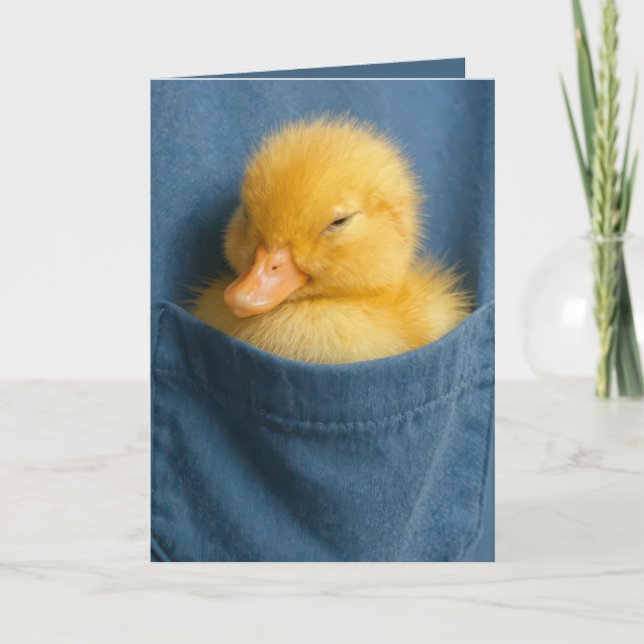 Birthday Duckling In a Blue T-shirt Pocket Kort (Framsida)
