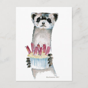 Birthday Ferret Vykort