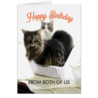 Birthday From Both Of Us Cute Cat Art  Hälsningskort