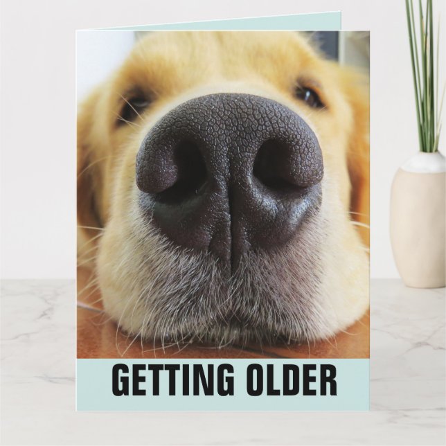 BIRTHDAY FUNNY BETTE OLDER HUND GREETING CARD KORT (Framsida)