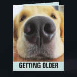 BIRTHDAY FUNNY BETTE OLDER HUND GREETING CARD KORT<br><div class="desc">GRATTIS PÅ FÖDELSEDAGEN ANYWAY! HUND-KORT</div>