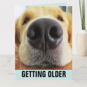 BIRTHDAY FUNNY BETTE OLDER HUND GREETING CARD KORT