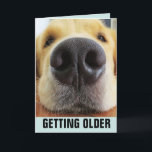 BIRTHDAY FUNNY, SOM FÅR ÄLDRE HUND GREETDS CARDS KORT<br><div class="desc">GRATTIS PÅ FÖDELSEDAGEN ANYWAY! HUND-KORT</div>