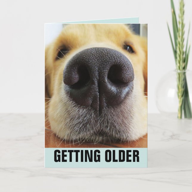 BIRTHDAY FUNNY, SOM FÅR ÄLDRE HUND GREETDS CARDS KORT (Framsida)