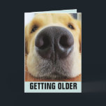 BIRTHDAY FUNNY, SOM FÅR ÄLDRE HUND GREETDS CARDS KORT<br><div class="desc">GRATTIS PÅ FÖDELSEDAGEN ANYWAY! HUND-KORT</div>
