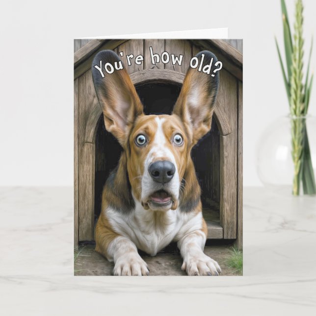 Birthday Getting Old Humor Basset Hound  Kort (Framsida)