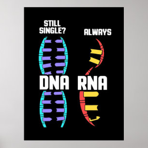 Birthday Gift   Lärare Biolog DNA och RNA Poster