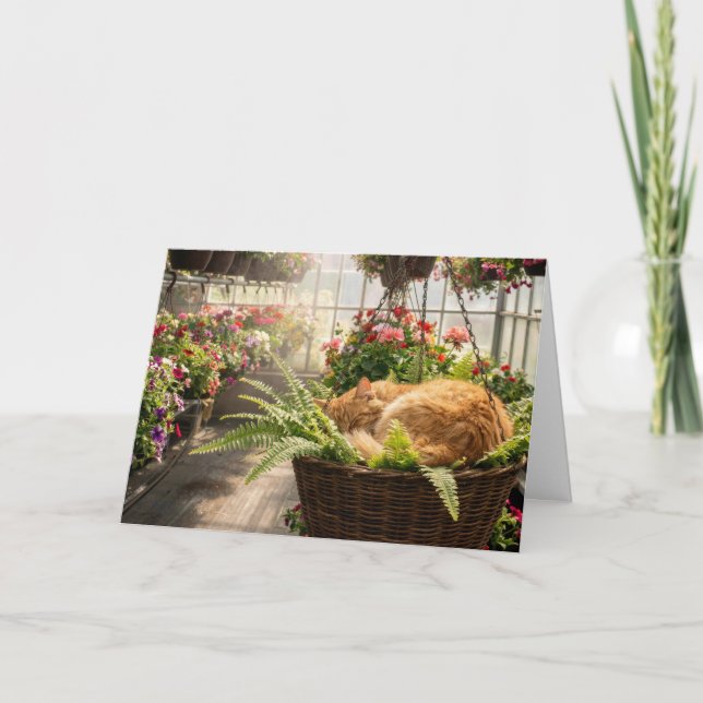 Birthday Ginger Cat Napping in Hanging Fern Basket Kort (Framsida)