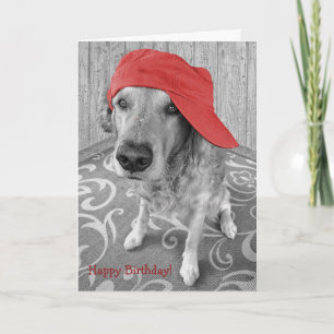 Birthday Golden Retriever Kort