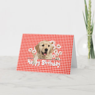 Birthday Golden Retriever på Gingham Kort