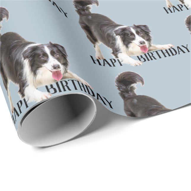 Birthday Gräns Collie on Blue Presentpapper (Rullad Hörn)