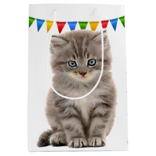 Birthday Grått Kitten On White
