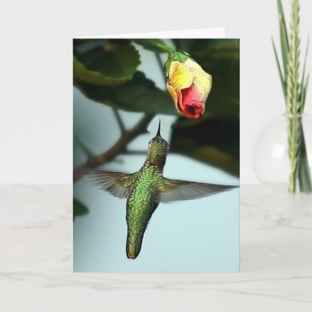 Birthday Greetings Hummingbird Kort (Framsida)