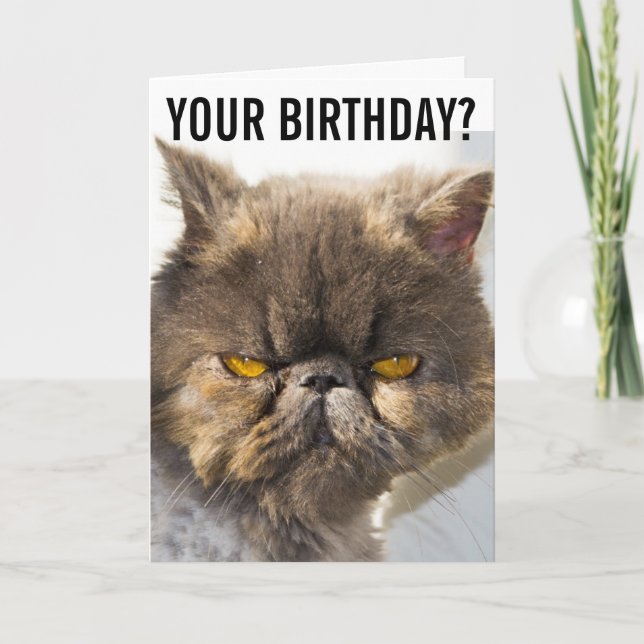 BIRTHDAY GRUMPY PERSIAN CAT FUNNY Greeting Card Kort (Framsida)