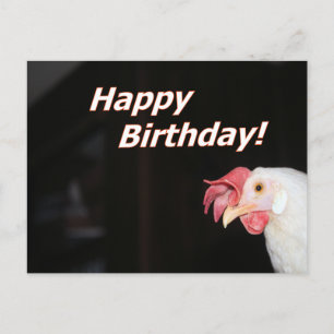 Birthday Hen Helg Vykort