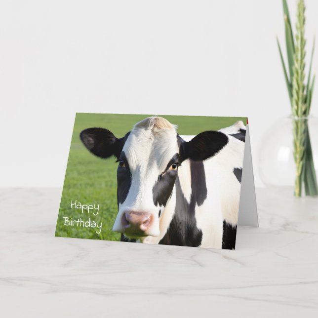 Birthday Holstein Cow Humor Kort (Framsida)