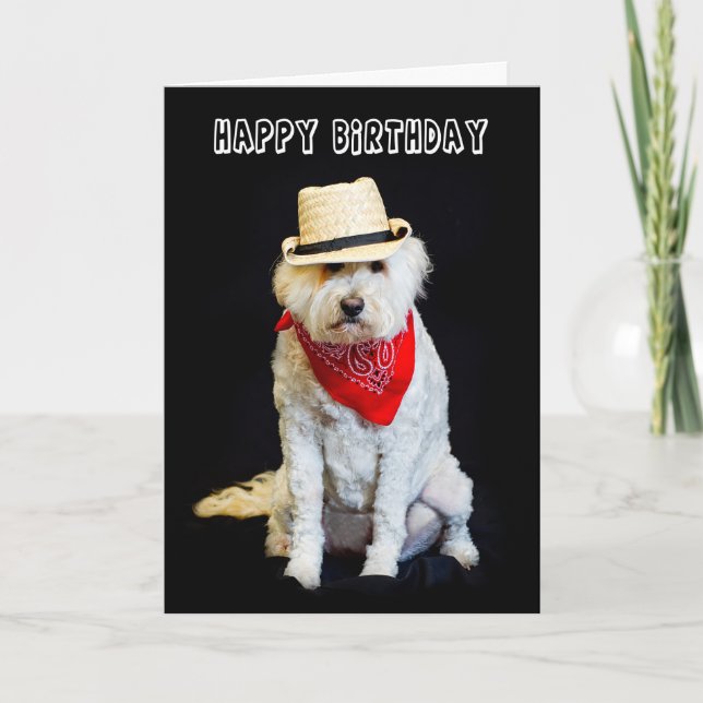 BIRTHDAY - HUMOR - HUND/COWBOY HAT OCH SCARF KORT (Framsida)