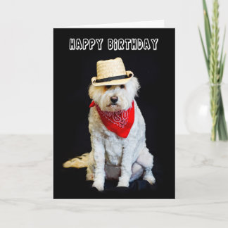 BIRTHDAY - HUMOR - HUND/COWBOY HAT OCH SCARF KORT
