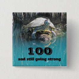 Birthday Humor Turtle Photo Milestone Birthday Knapp