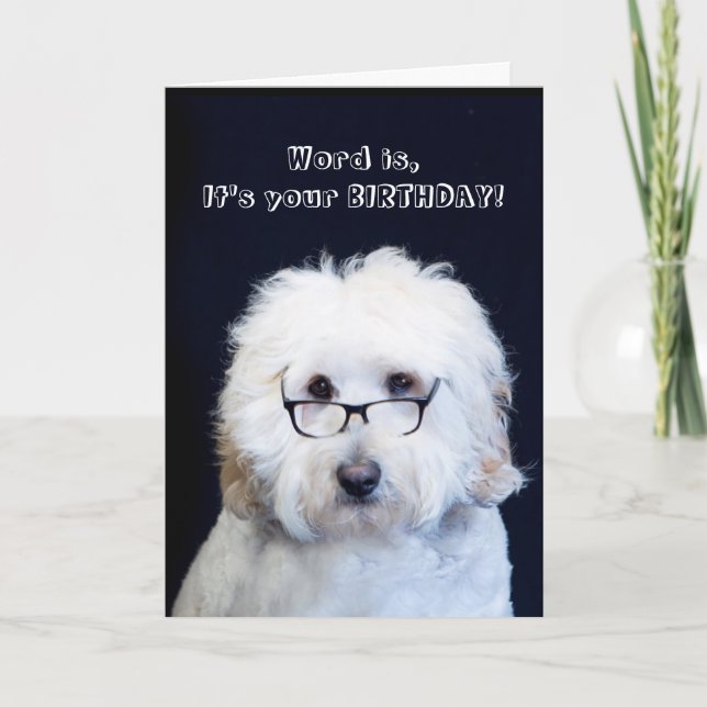 BIRTHDAY - HUMOR W/HUND/SVART RIM-GLAS KORT (Framsida)
