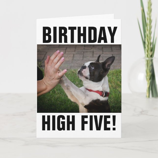 BIRTHDAY HUND HIGH FEM FUNNY CARD KORT (Framsida)