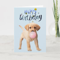 Birthday Labrador Retriever Puppy Hund Bubble Gum