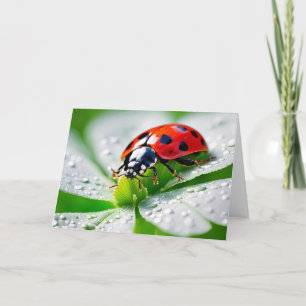 Birthday Ladybug 4 Löv Klöver Kort