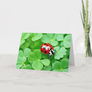 Birthday Ladybug på fyraLöv Klöver Kort
